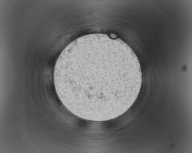 X0000115840127200912242025