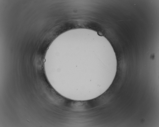 X0000115840129200912242025