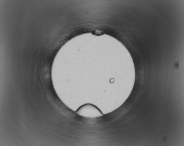 X0000115840131200912242025