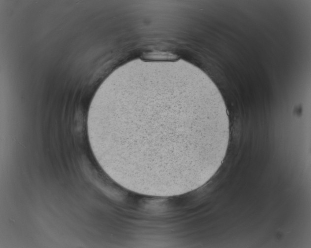 X0000115840132200912242025