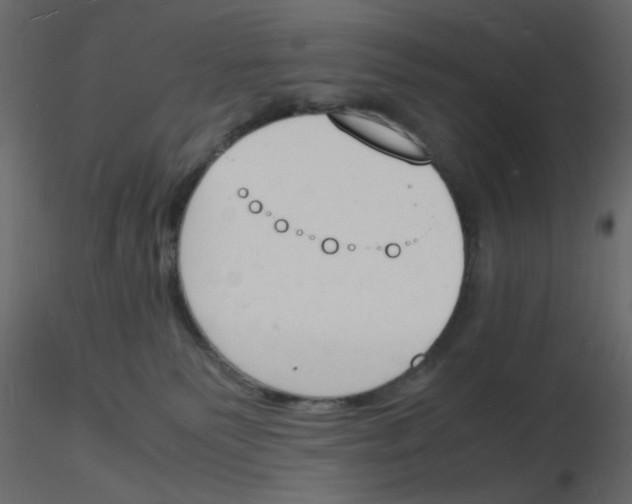 X0000115840135200912242025