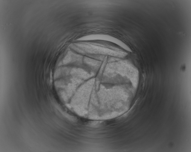 X0000115840136200912242025