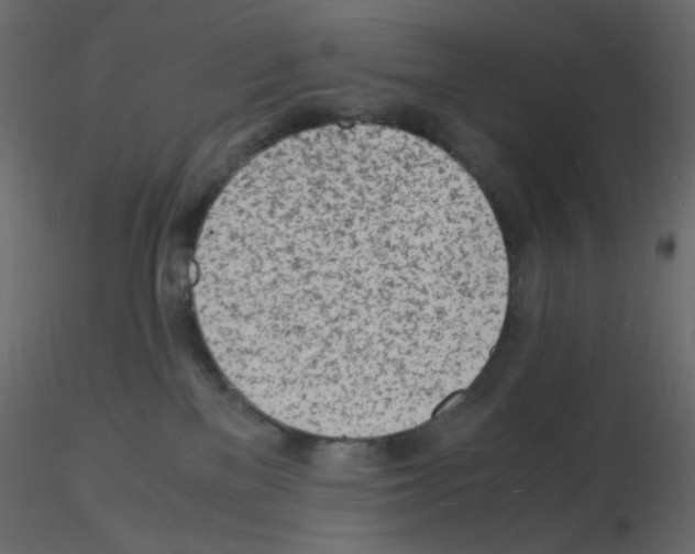 X0000115840137200912242025