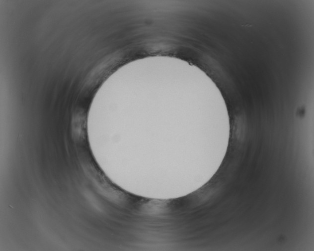 X0000115840138200912242024