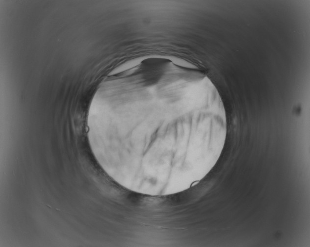 X0000115840139200912242024