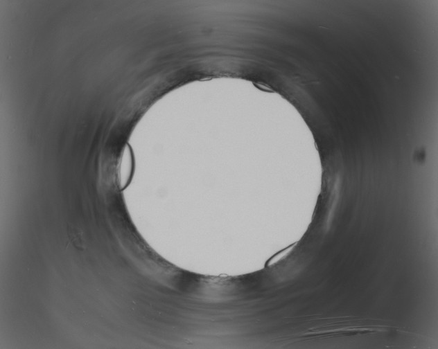 X0000115840141200912242024