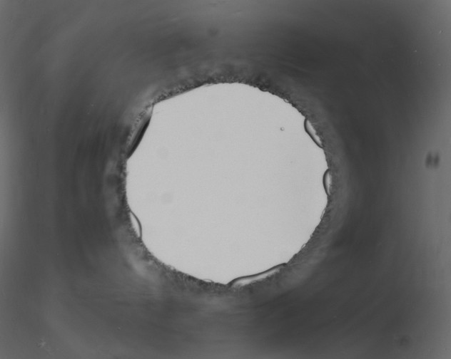 X0000115840144200912242024