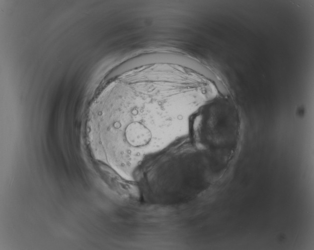 X0000115840145200912242024