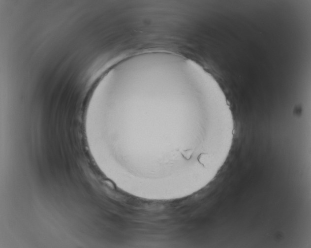 X0000115840146200912242024