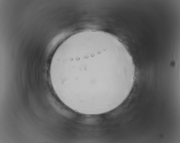 X0000115840149200912242024