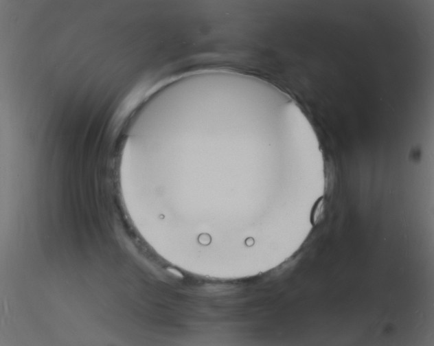 X0000115840150200912242024