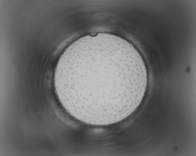 X0000115840153200912242024