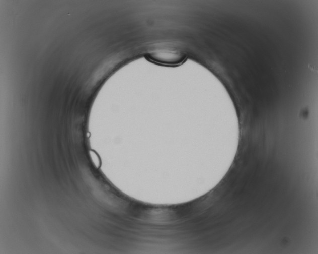 X0000115840154200912242024