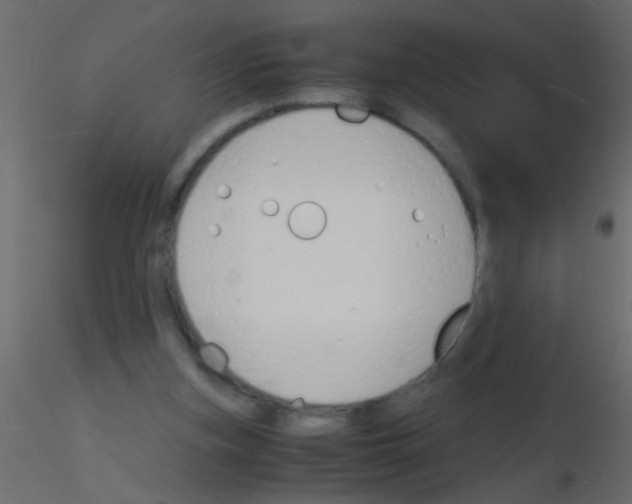 X0000115840155200912242024