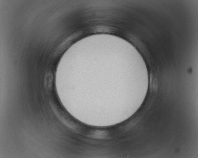 X0000115840157200912242024