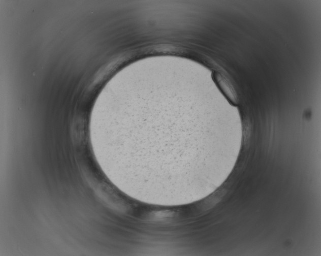 X0000115840158200912242024