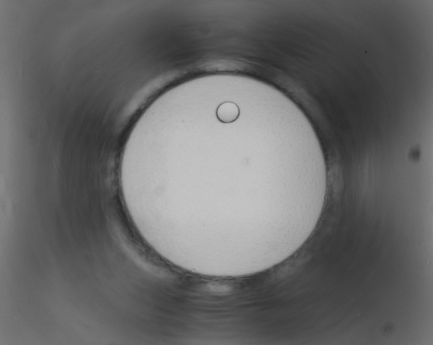 X0000115840159200912242024