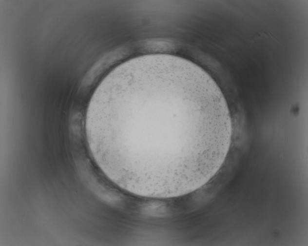 X0000115840162200912242024