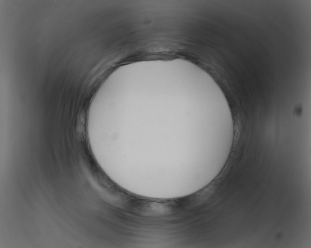 X0000115840166200912242024