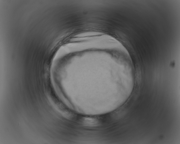 X0000115840167200912242024