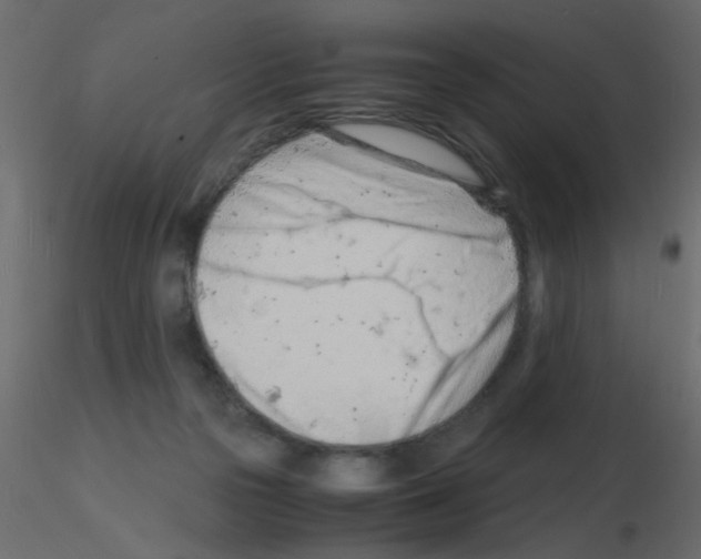 X0000115840169200912242024