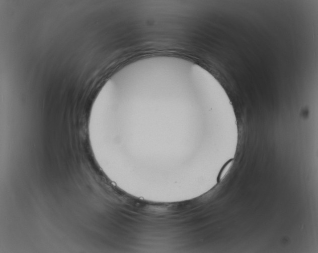 X0000115840170200912242024