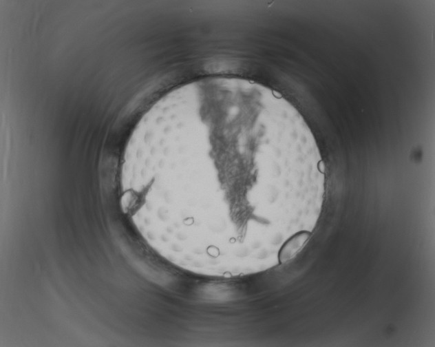 X0000115840171200912242024