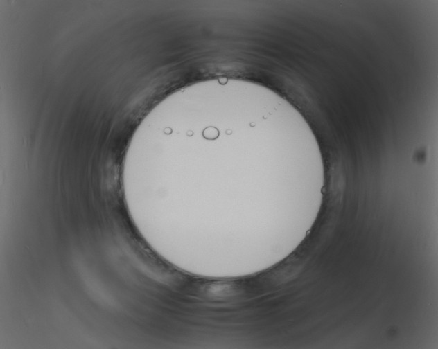 X0000115840173200912242024