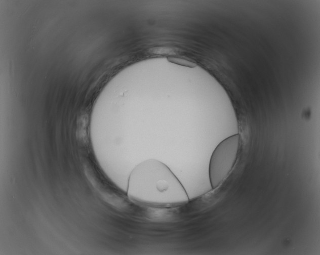 X0000115840175200912242024