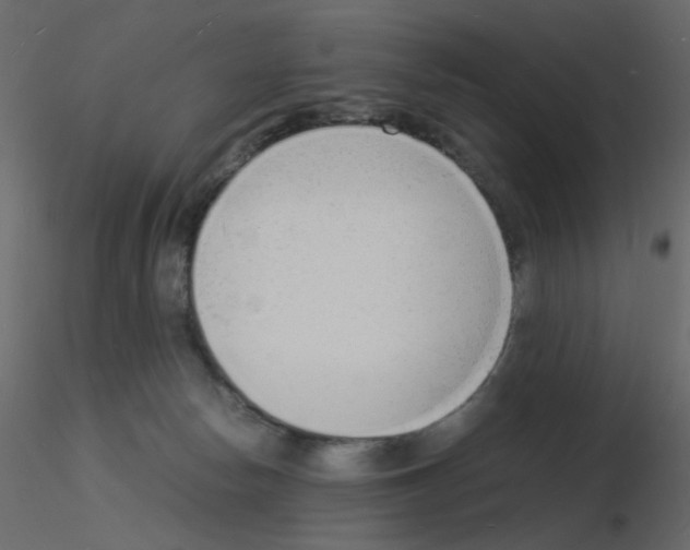 X0000115840178200912242024