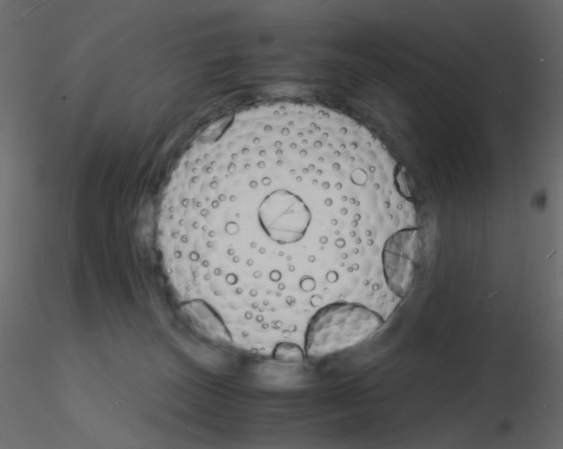 X0000115840179200912242024