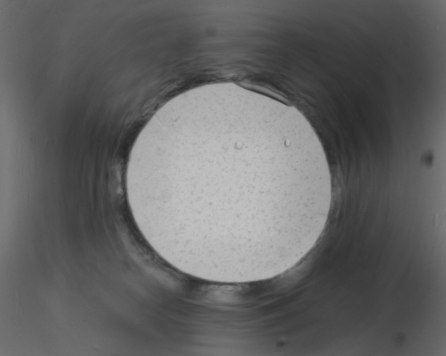 X0000115840182200912242024