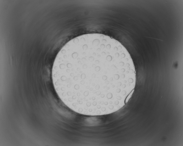 X0000115840183200912242024