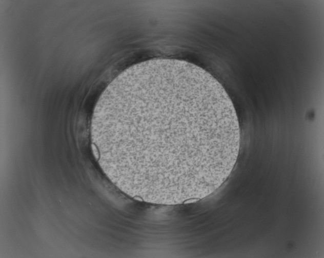 X0000115840186200912242024