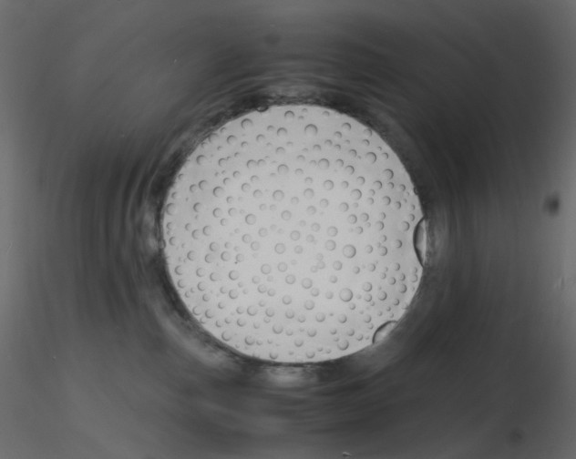 X0000115840187200912242024