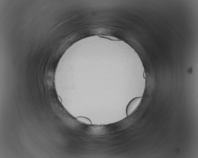 X0000115840189200912242024