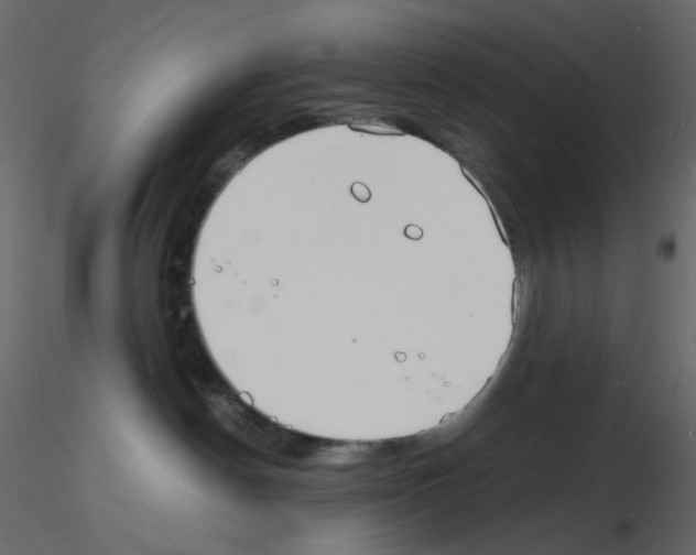 X0000115840190200912242024