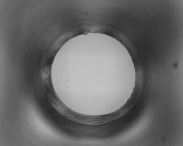 X0000115840191200912242024