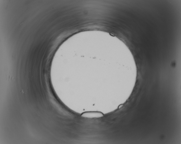 X0000115840193200912242024