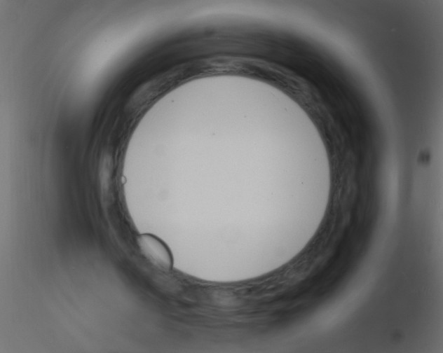 X0000115840194200912242024