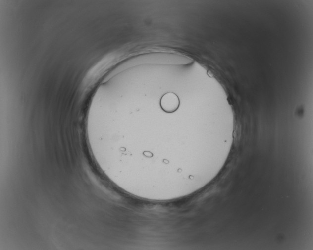 X0000115840197200912242024