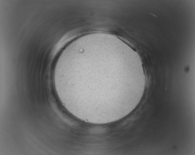 X0000115840198200912242024