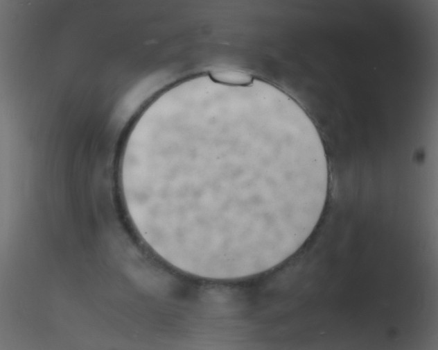 X0000115840199200912242024