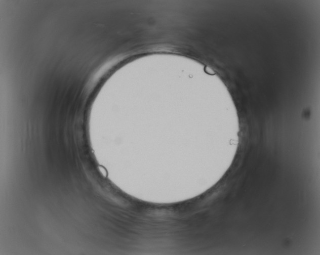 X0000115840200200912242024