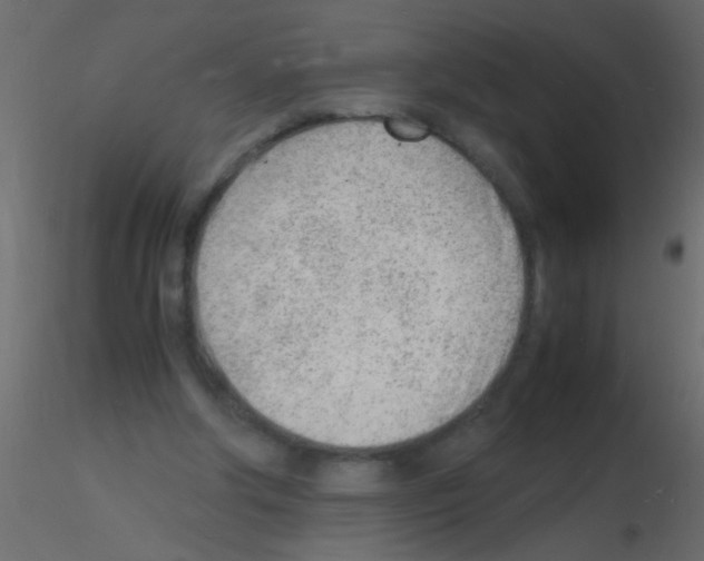 X0000115840202200912242024