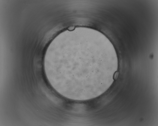 X0000115840203200912242024