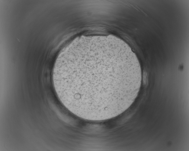 X0000115840205200912242024