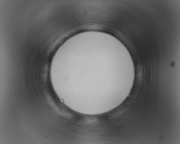 X0000115840206200912242024