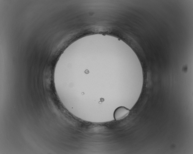 X0000115840210200912242024