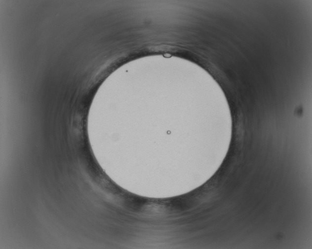 X0000115840211200912242023